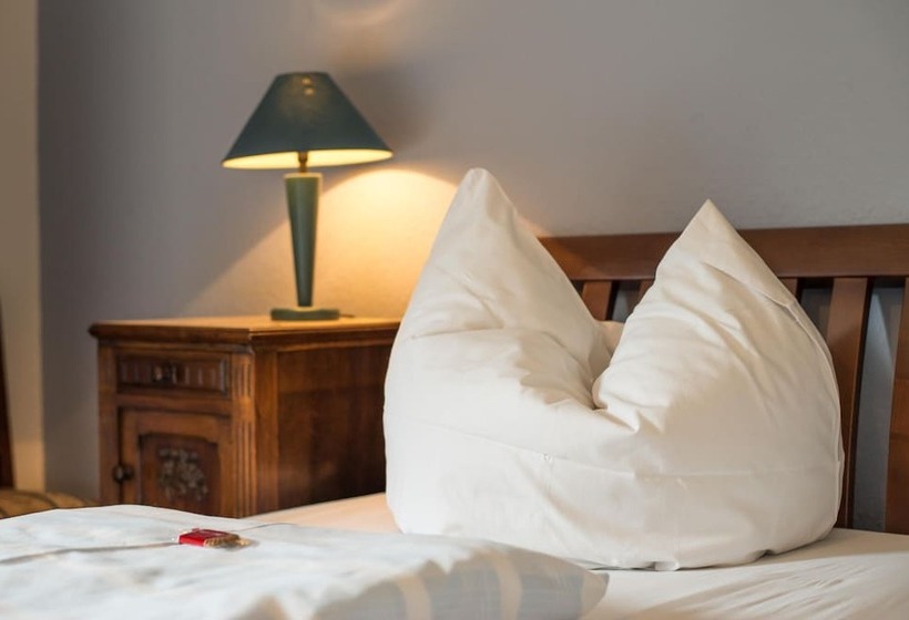 Номер Комфорт, Goldener Adler Oberried Hotel & Appartements