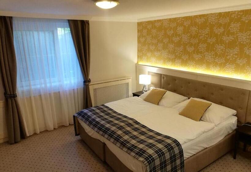 غرفة إقتصادية, Villa Medici Hotel & Restaurant