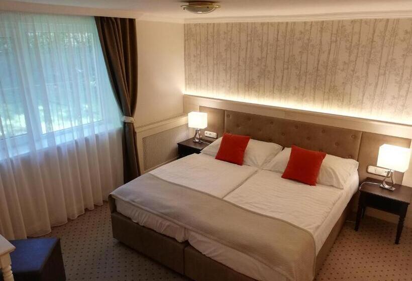 غرفة إقتصادية, Villa Medici Hotel & Restaurant