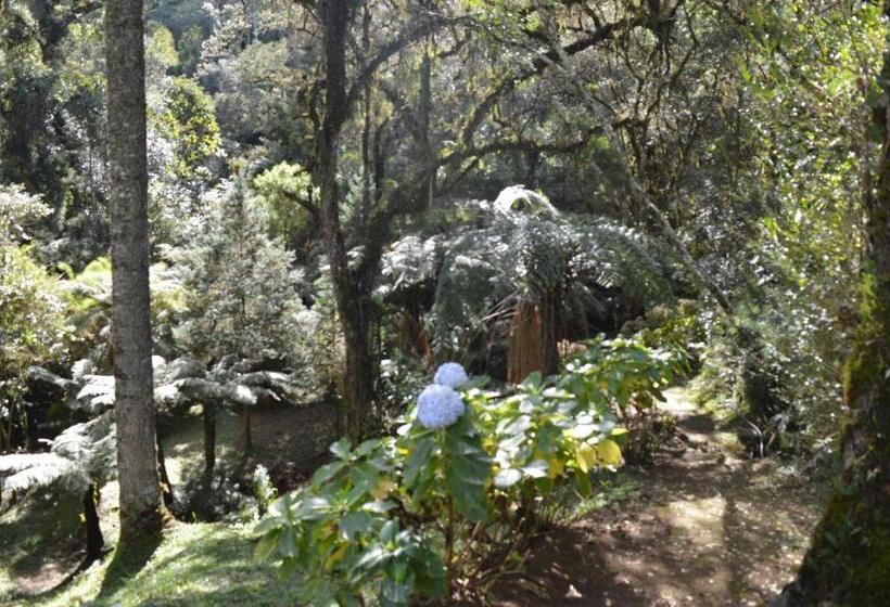 غرفة ديلوكس, Pousada Serras De Monte Verde