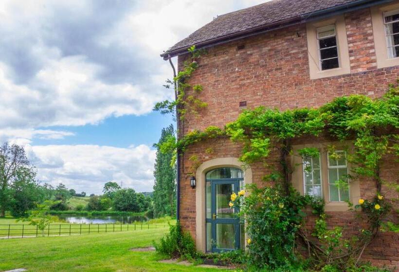 标准间带湖景, Tailor Room 1