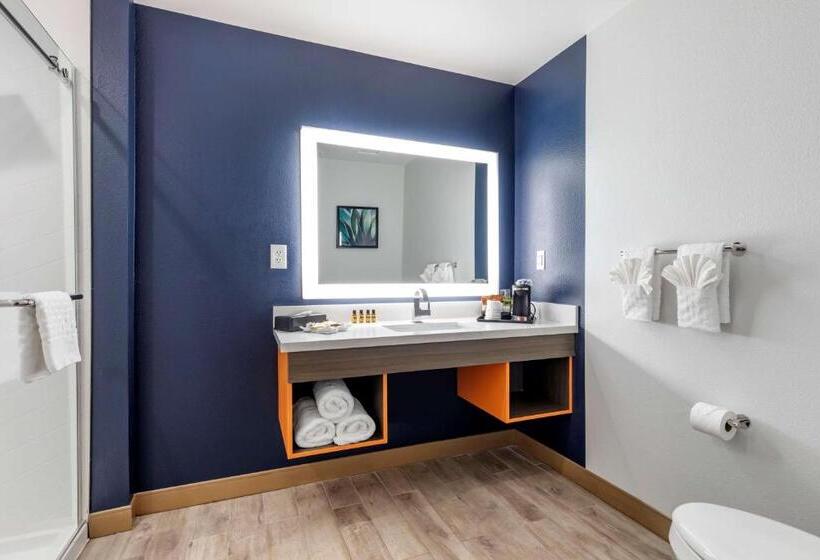Стандартный Номер Кровать Кинг, Best Western Plus Amarillo East