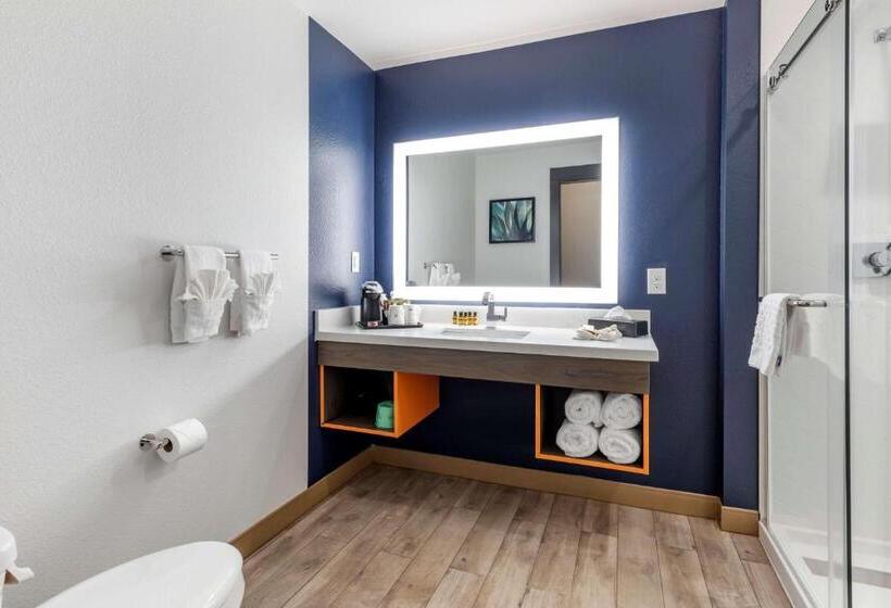 Номер Стандарт, Best Western Plus Amarillo East