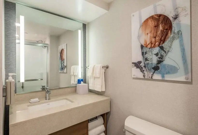 سوئیت 2 خوابه, Homewood Suites By Hilton Toledo Downtown