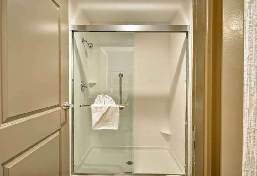 סטודיו סטנדרט, מיטה זוגית, Homewood Suites By Hilton Toledo Downtown