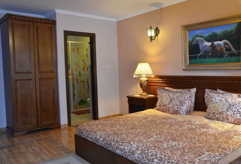 스탠다드 룸, Boutique Hotel Boris Palace & Restaurant