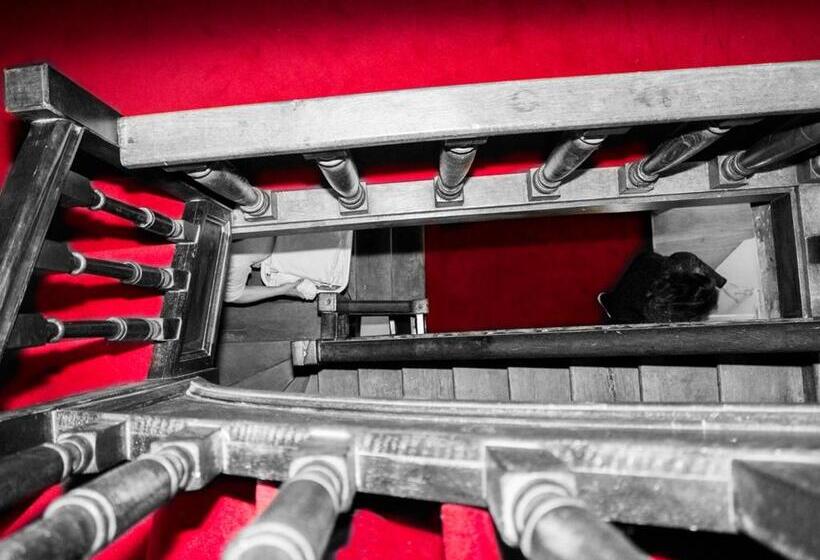 豪华房间, Galerie Hotel Dis