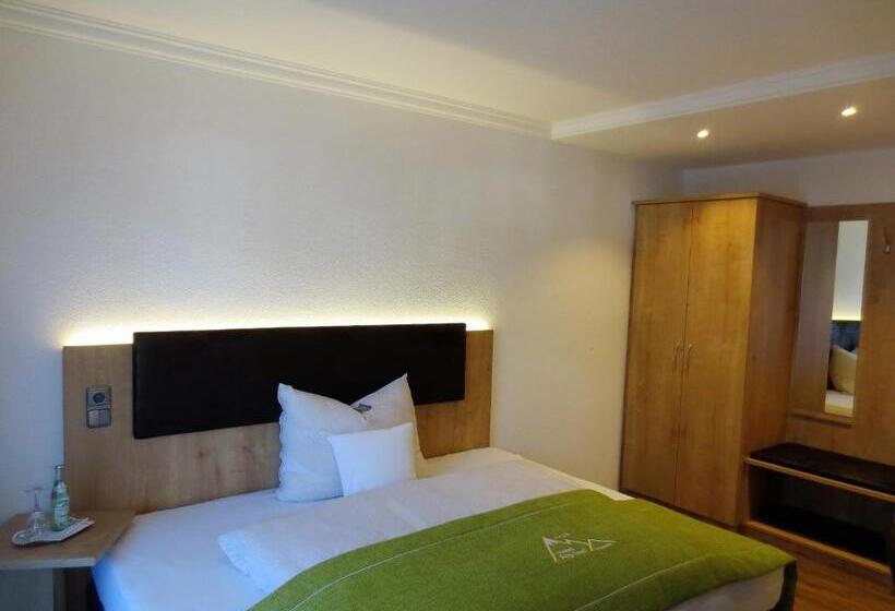 Camera Economy, Alp Inn