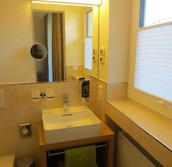 Camera Economy, Alp Inn