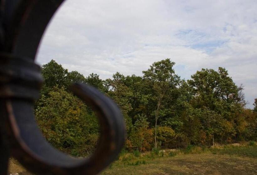 סוויטת 2 חדרי שינה, Anthimos