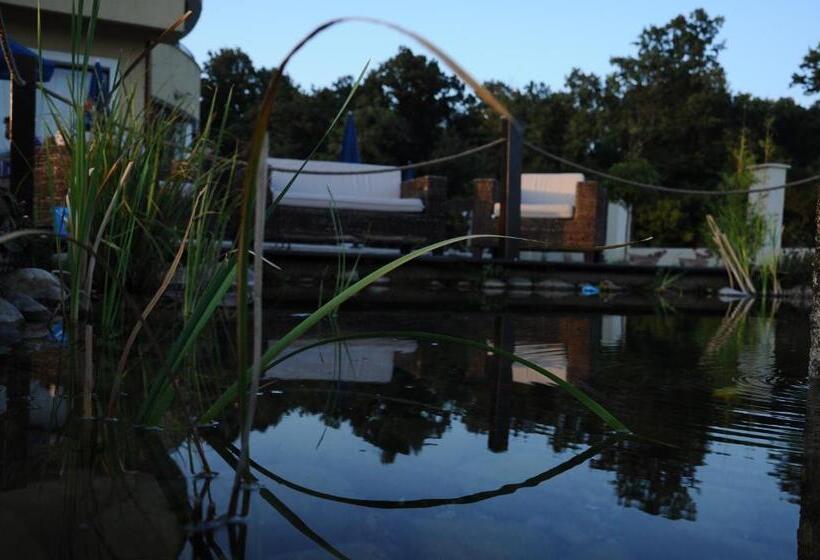 חדר סטנדרט, Anthimos