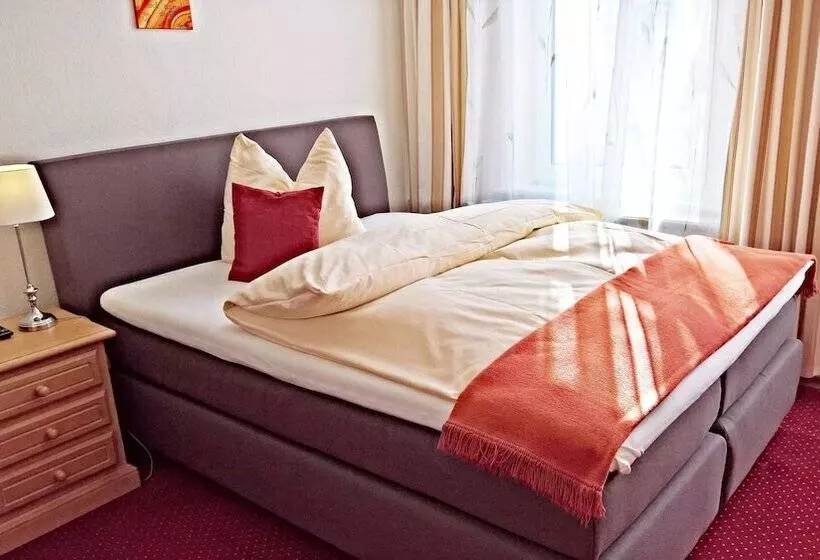 Standard Yhden Hengen Huone, Goethe