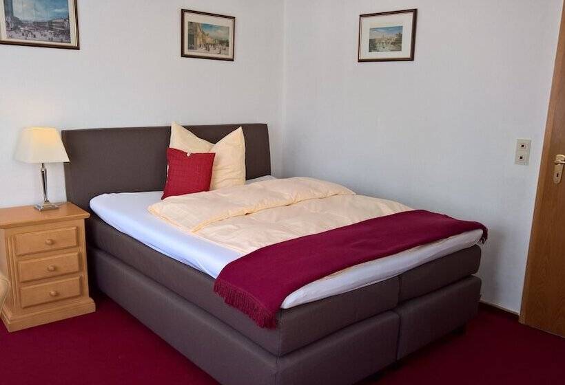 חדר סטנדרט יחיד, Goethe