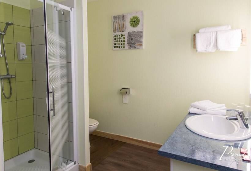 חדר קלאסי, Hôtel Azur Saint Junien Cit