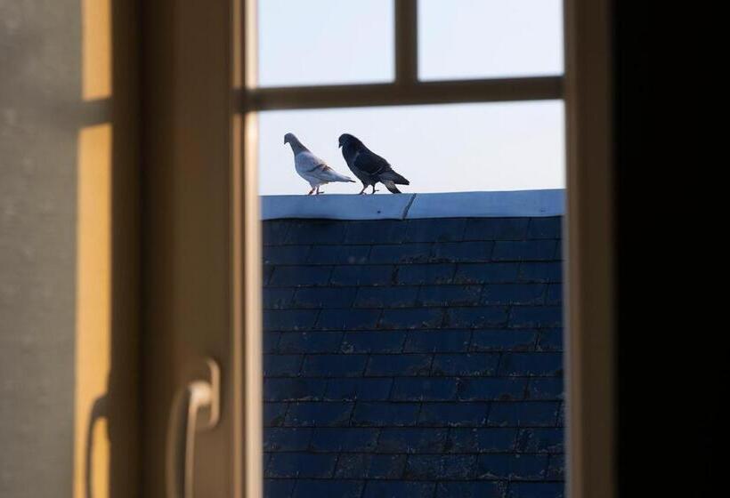 スタンダードルーム, De Lion Sur Mer