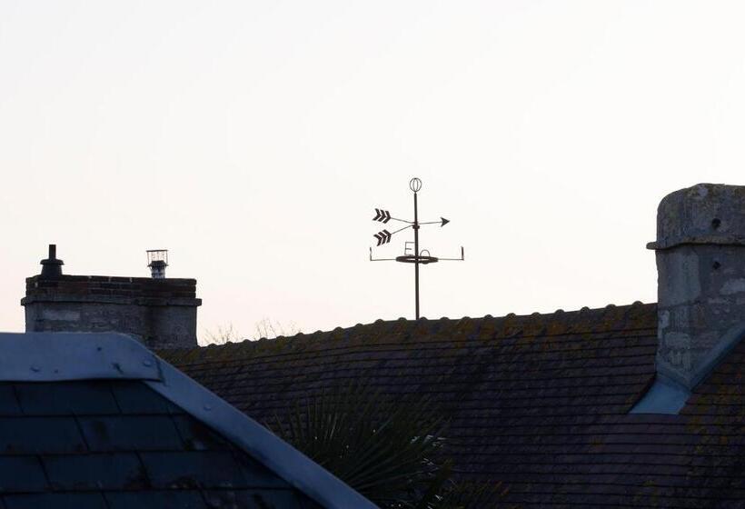 スタンダードルーム, De Lion Sur Mer