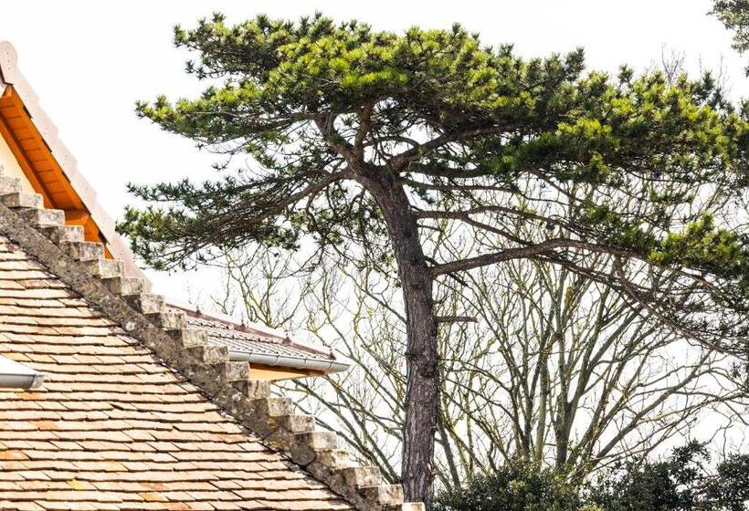 コンフォートルーム, De Lion Sur Mer