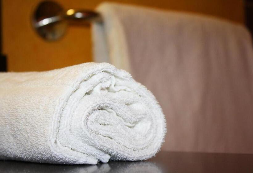 Номер Стандарт, Logis Hôtel Atrium Epinal Golbey Chavelot