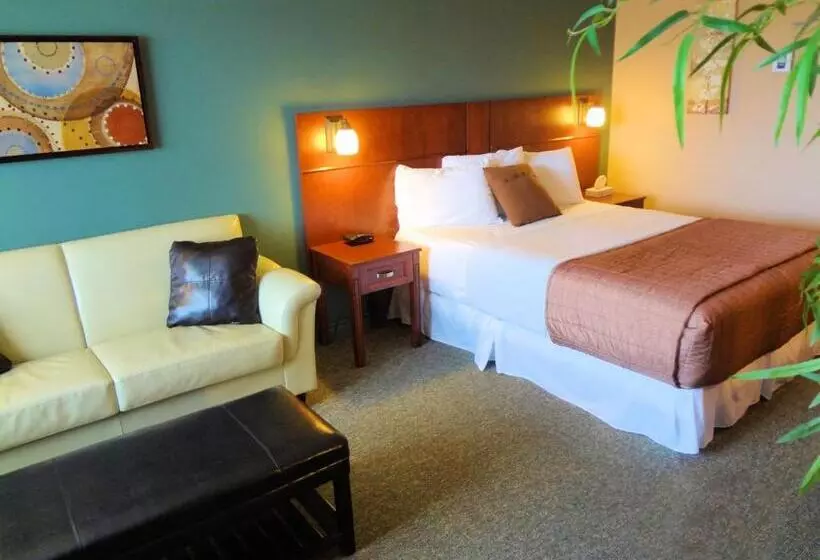 スーペリアールーム, Motel Drummond