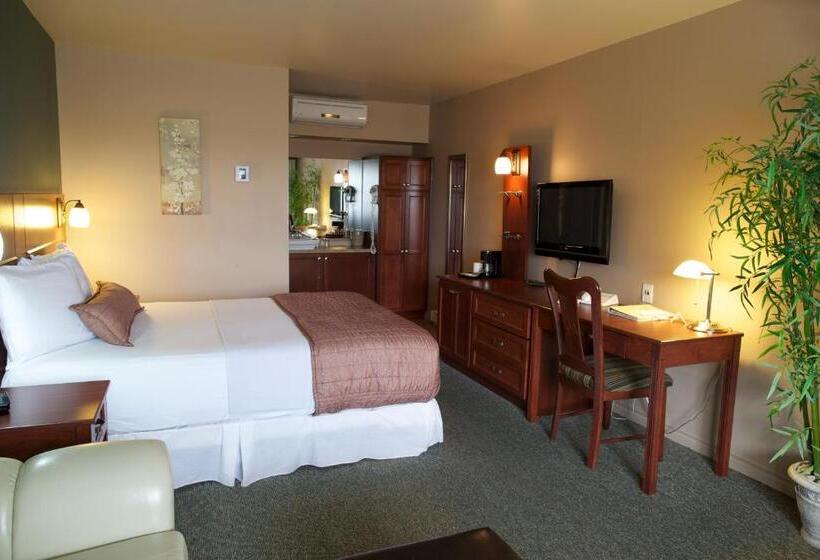 سوییت جونیور, Motel Drummond
