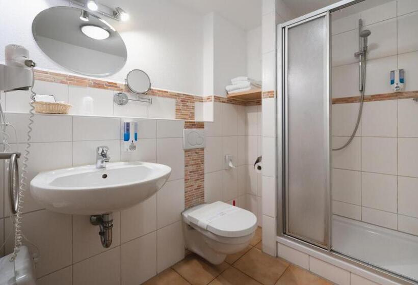 Standard-huone, Park Hotel & Gästehaus Rust