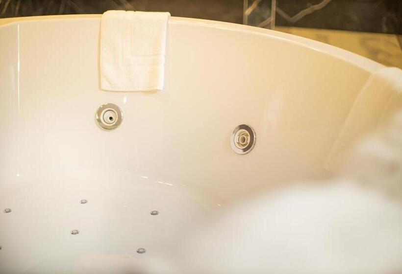 套房, Van Der Valk Hotel Beveren