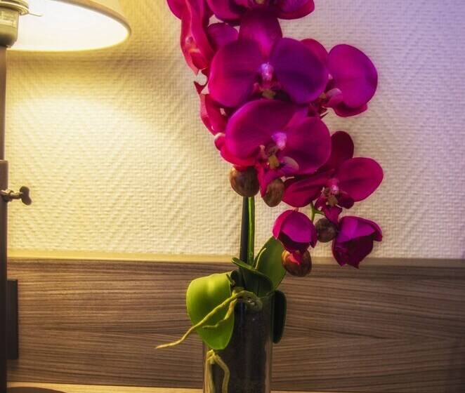 اتاق استاندارد, Akena Le Prado