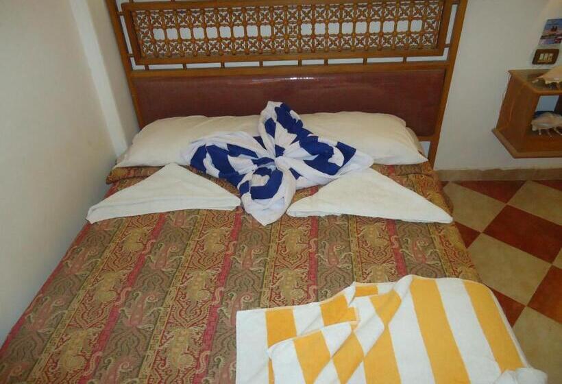 اتاق استاندارد یک نفره, Ciao