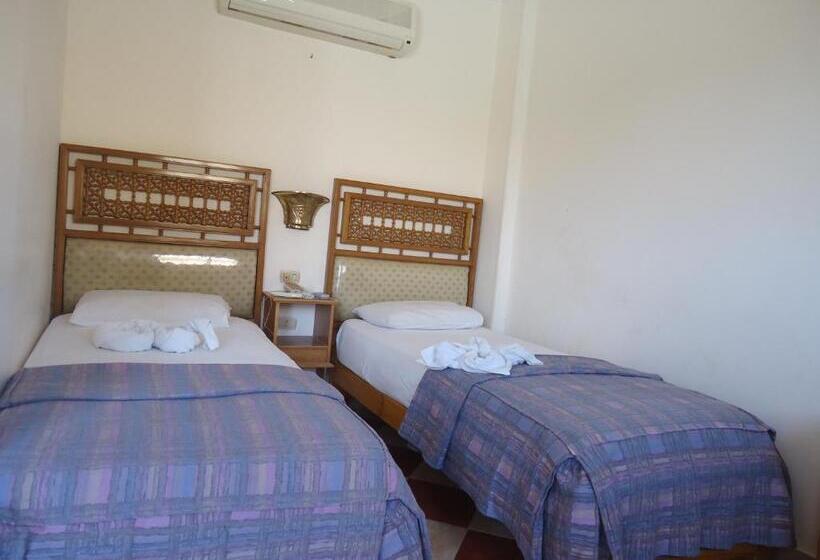 اتاق استاندارد, Ciao