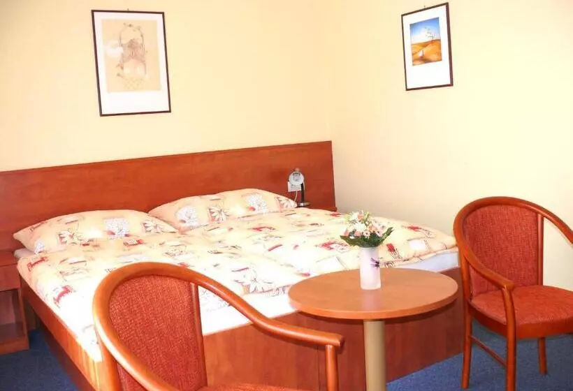 スタンダードルーム, Morava