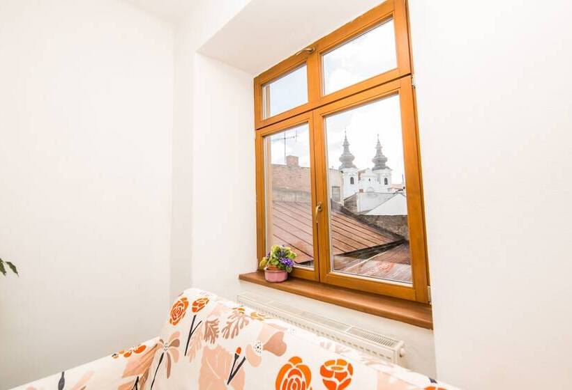 Номер Стандарт Трехместный, Morava