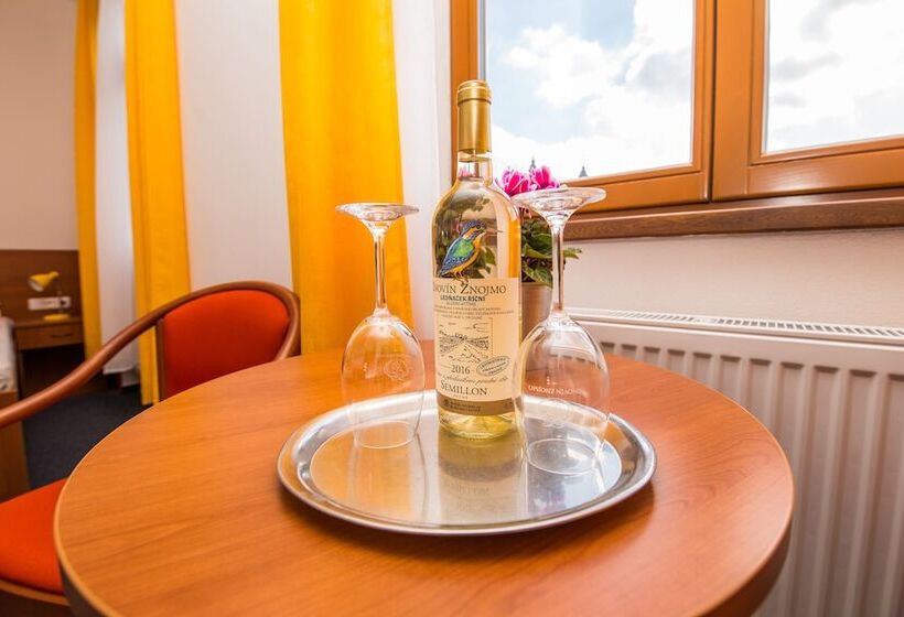 스탠다드 싱글 룸, Morava