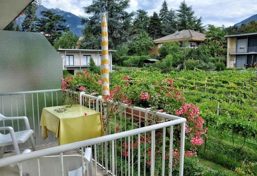 标准间带阳台, Zima