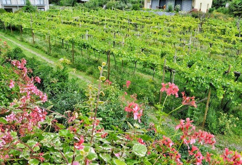 标准单人间, Zima