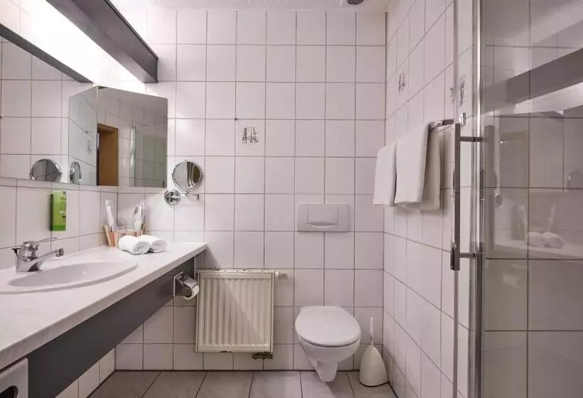クラシックルーム, Tiptop Hotel Am Hochrhein