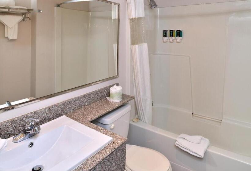 带大床的标准间, Canadas Best Value Inn Valemount