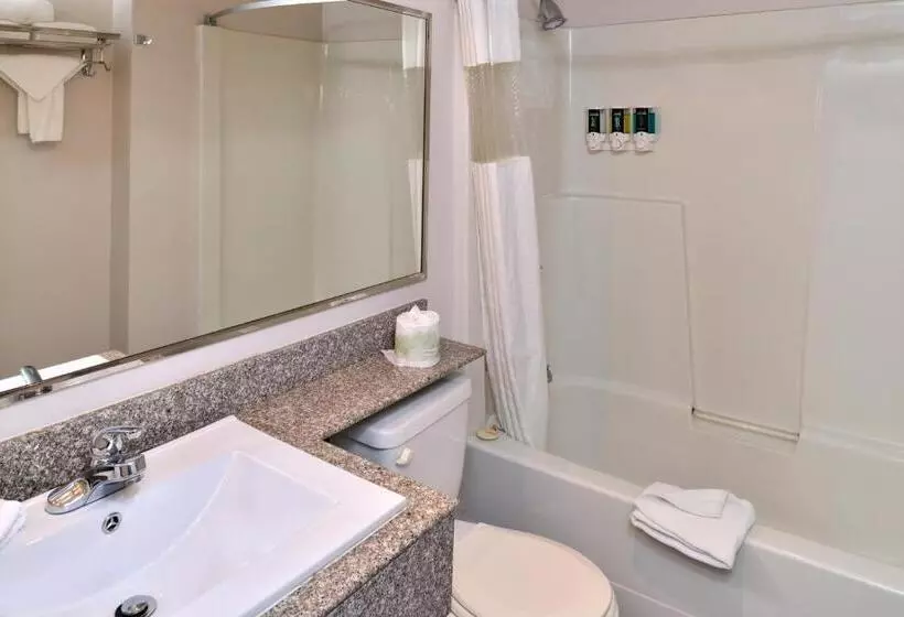 キングサイズベッドのスタンダードルーム, Canadas Best Value Inn Valemount