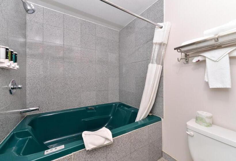 Deluxe Suite King-Size Franciággyal, Canadas Best Value Inn Valemount