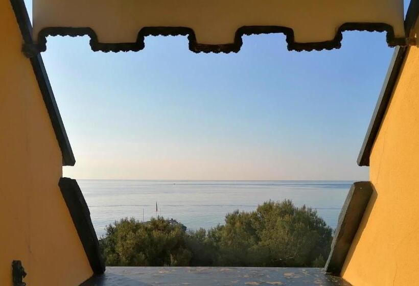 غرفة قياسية فردية, Ena