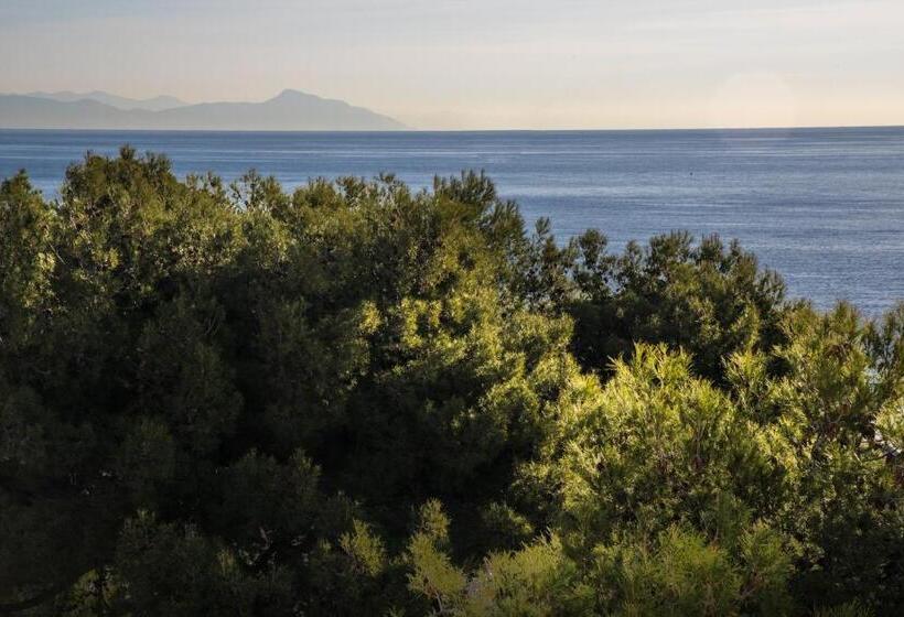 غرفة قياسية فردية, Ena