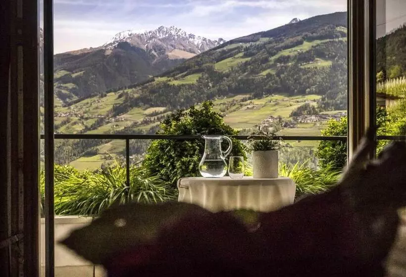 Standard Yhden Hengen Huone Parveke, Golserhof