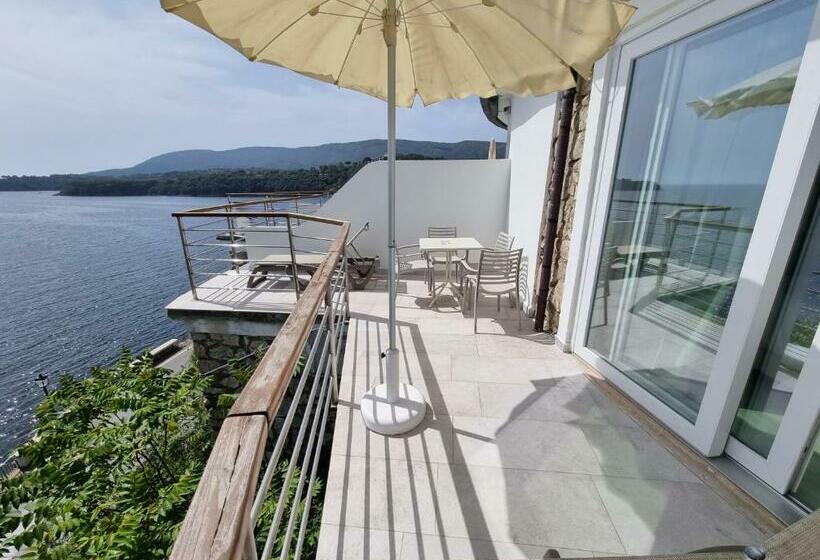 Номер Superior со СПА доступом, Plaza