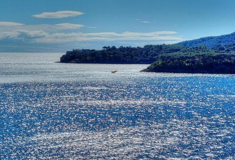 Номер Стандарт, Plaza