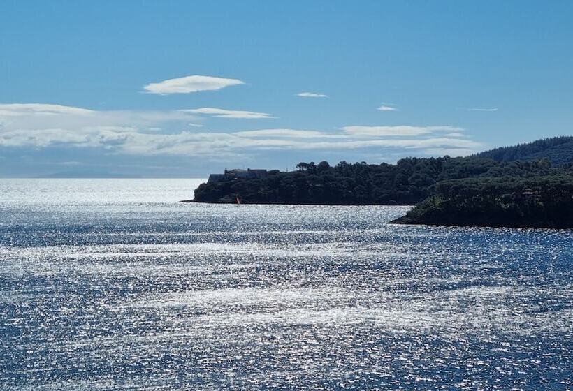 Номер Комфорт, Plaza