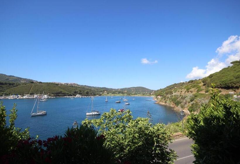 Номер Economy, Plaza