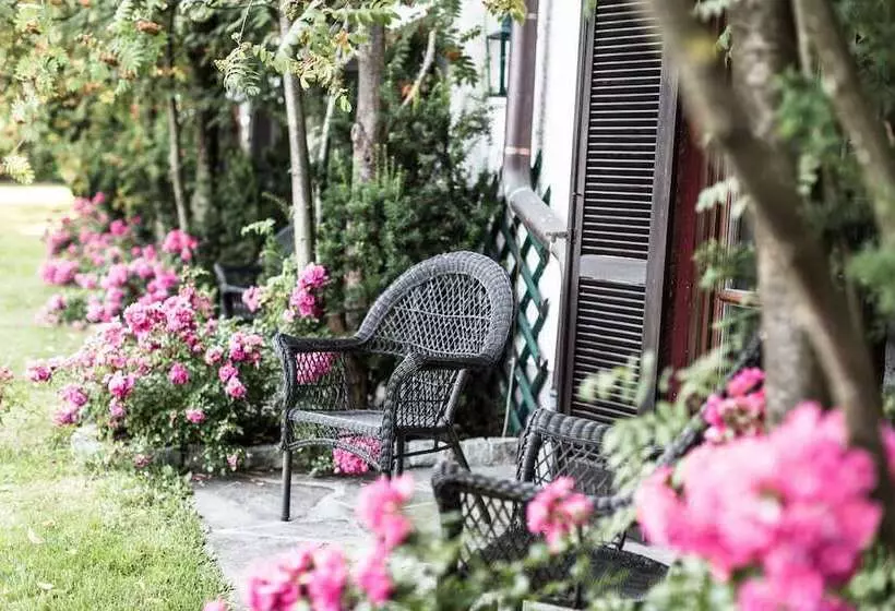 テラス付きシングルルーム, Salzburg Hotel Holznerwirt
