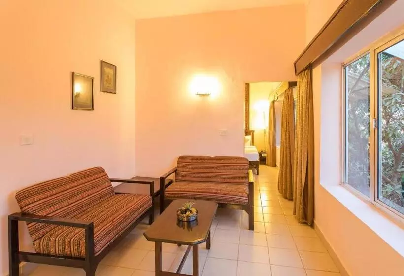 Sviitti, Coorg International