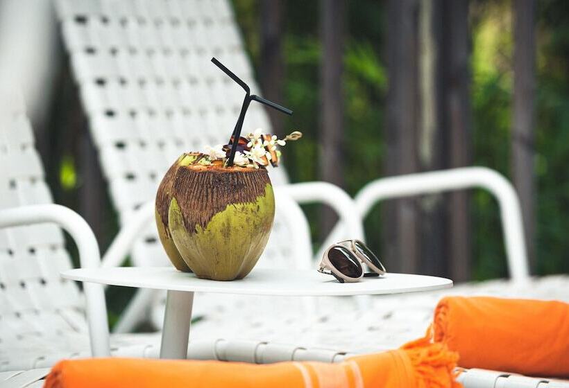 سوییت, French Coco