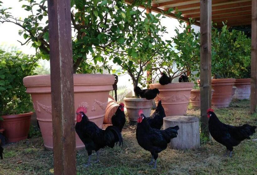 Апартаменты 1 Спальня, Agriturismo La Badiola