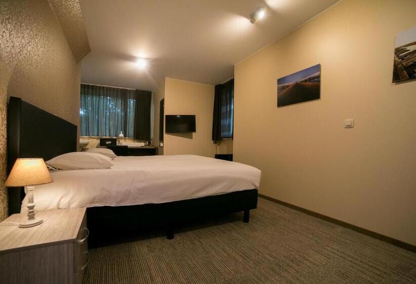 高级大房间, Orion